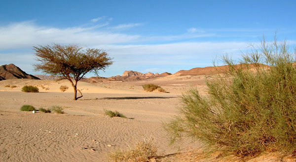 Wadi Ghazala