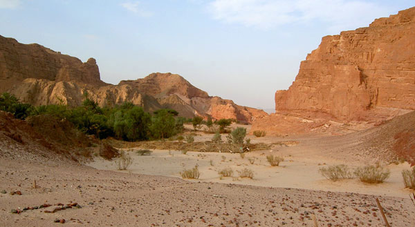 Off the road in the wadi area - Quad from Dahab