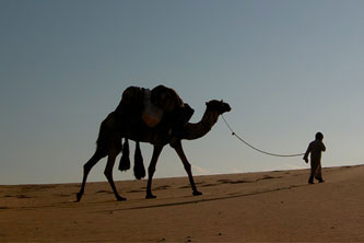 Camel Riding Holidays