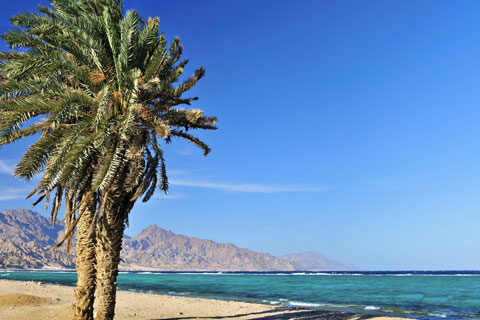 Dahab seashore