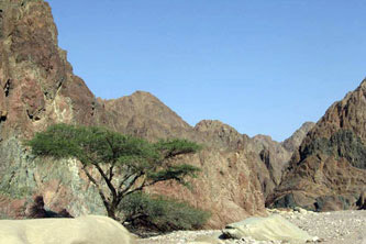 Wadi