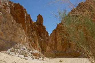 Wadi