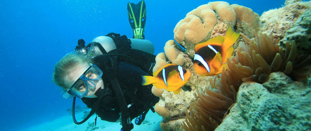 Scuba Diving Red Sea